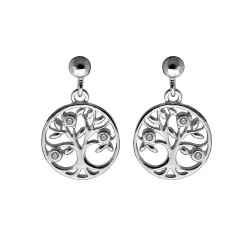 Boucles d'oreilles argent...