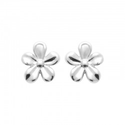 Boucles d'oreilles argent...