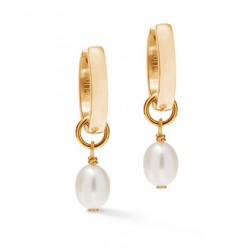 Boucles d'oreilles acier...