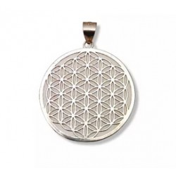 Pendentif argent pendentif...