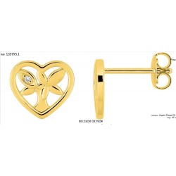 Boucles d'oreilles plaqué...