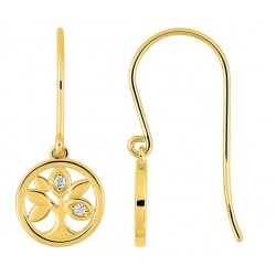 Boucles d'oreilles plaqué...