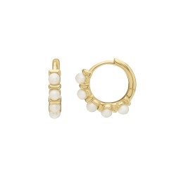 Boucles d'oreilles argent...