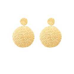 Boucles d'oreilles acier...