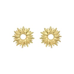 Boucles d'oreilles acier...