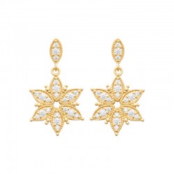 Boucles d'oreilles plaqué...