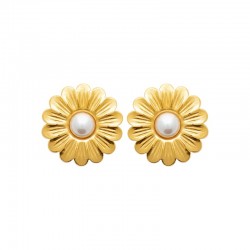 Boucles d'oreilles acier...