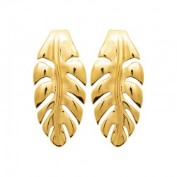 Boucles d'oreilles acier...